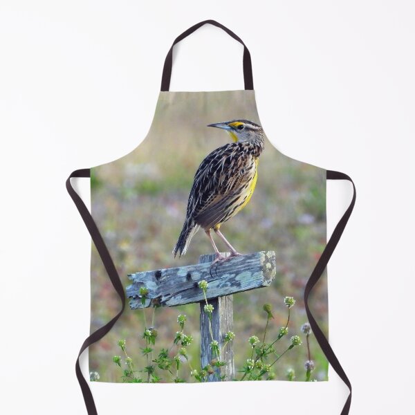 Item preview, Western Meadowlark designed and sold by Jeffrey Mask.