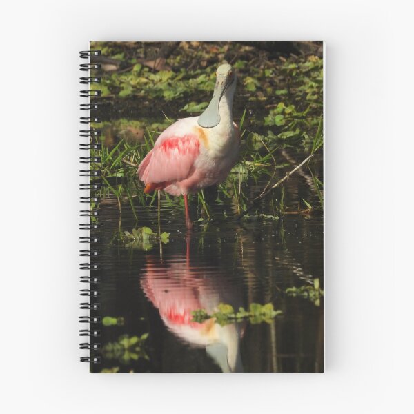 Item preview, Roseate Spoonbill #001 designed and sold by Jeffrey Mask.