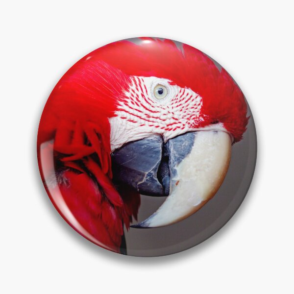 Item preview, ANIMALS #2 - Stunning Red Parrot designed and sold by DEL-Productions.