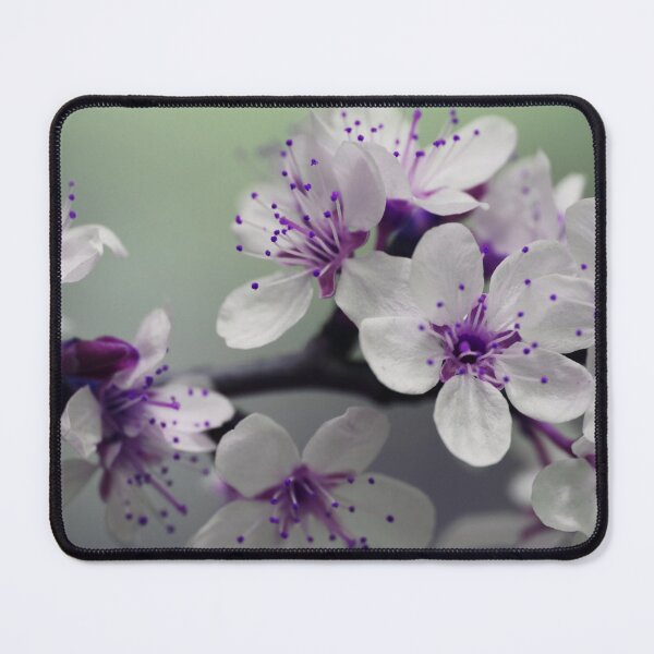 Item preview, Beautiful Spring Blossoms designed and sold by Taceo10.