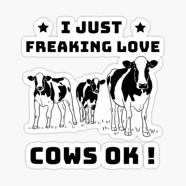 Cattle Cow Lover Heifer Funny Cow Sticker For Sale By Frijaaido