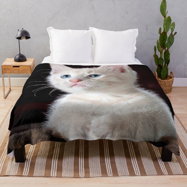 Item preview, ANIMALS #5 - Adorable Angelic White Kitten designed and sold by DEL-Productions.
