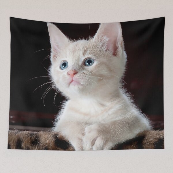 Item preview, ANIMALS #5 - Adorable Angelic White Kitten designed and sold by DEL-Productions.