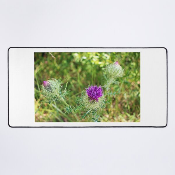 Item preview, Wild Thistle Flower designed and sold by Cynthia48.