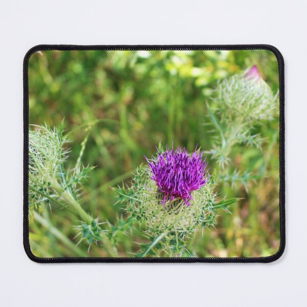 Item preview, Wild Thistle Flower designed and sold by Cynthia48.