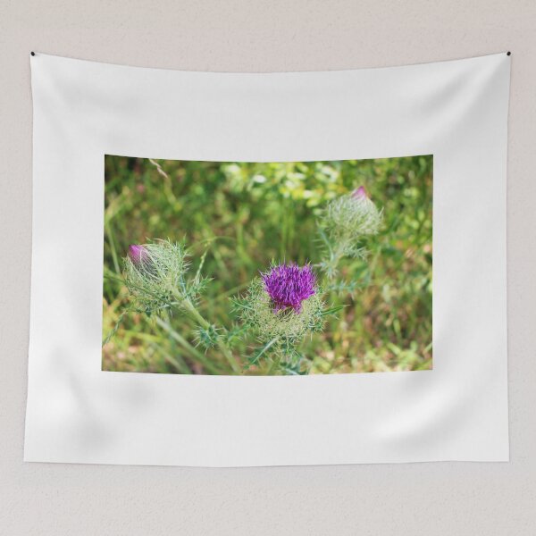 Item preview, Wild Thistle Flower designed and sold by Cynthia48.