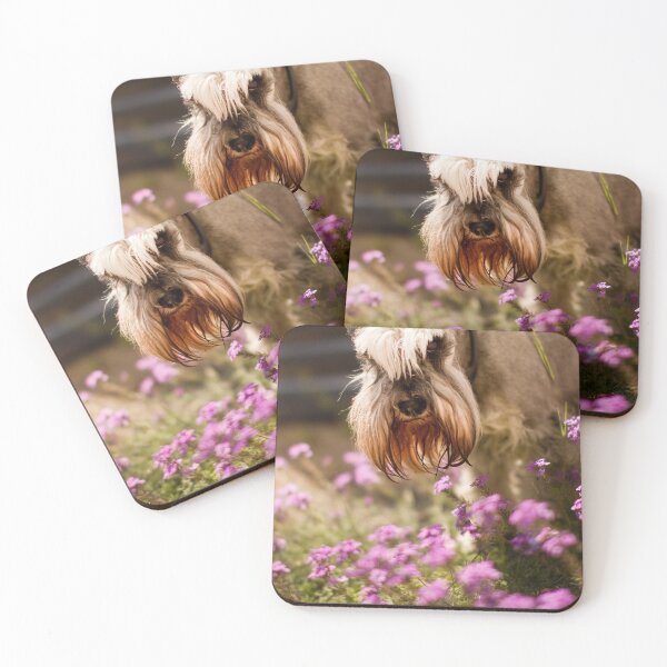Item preview, Schnauzer in Wildflowers designed and sold by Ohlordi.