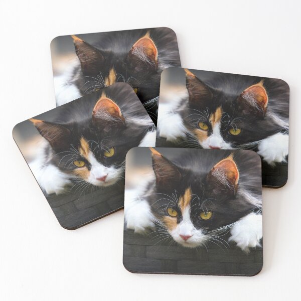 Item preview, ANIMALS #8 - Calico Cat Curiosity designed and sold by DEL-Productions.