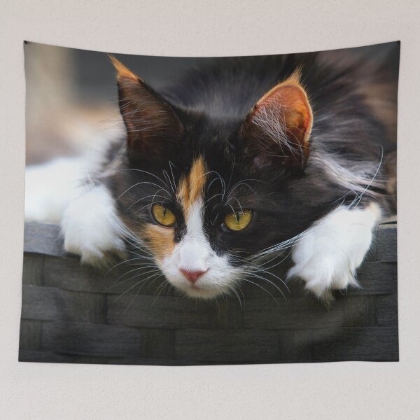 Item preview, ANIMALS #8 - Calico Cat Curiosity designed and sold by DEL-Productions.