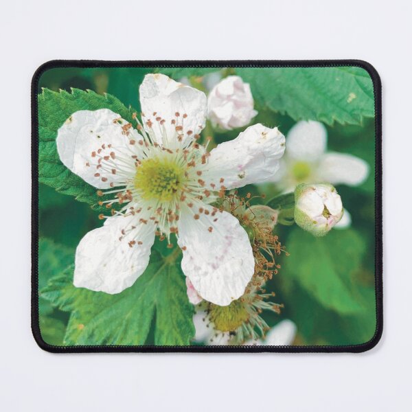 Item preview, Himalayan Blackberry designed and sold by Canvas4You.
