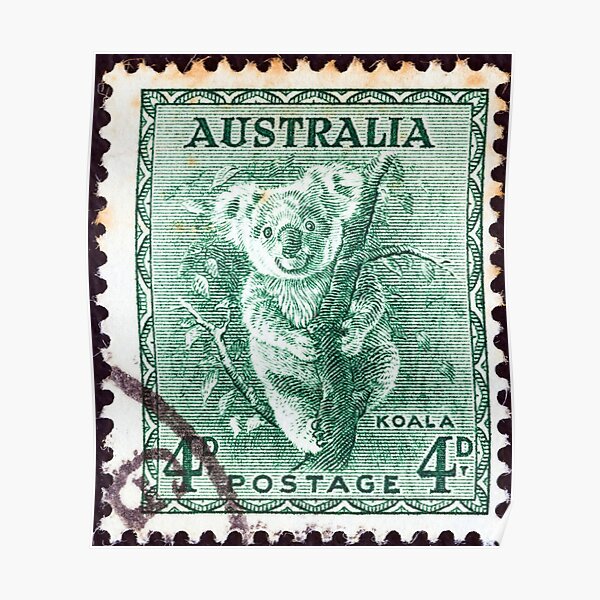 Green Koala Stamp Poster