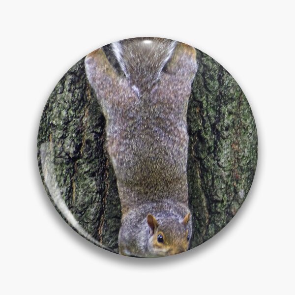 Item preview, Cute Squirrels #0075 designed and sold by Jeffrey Mask.
