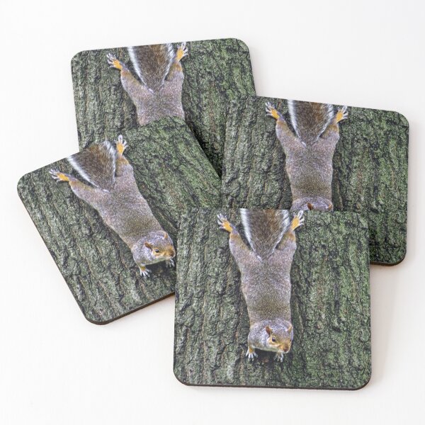 Item preview, Cute Squirrels #0075 designed and sold by Jeffrey Mask.