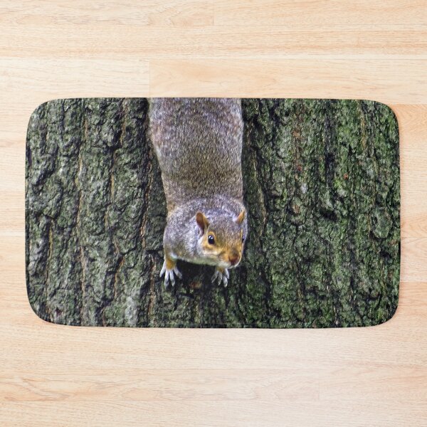Item preview, Cute Squirrels #0075 designed and sold by Jeffrey Mask.