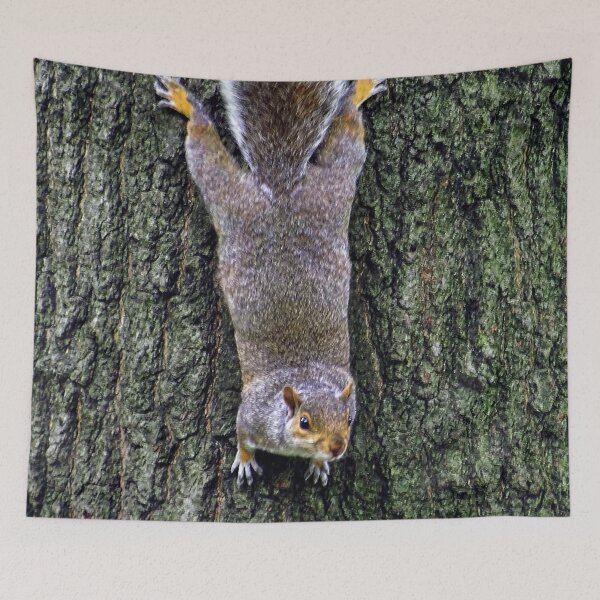 Item preview, Cute Squirrels #0075 designed and sold by Jeffrey Mask.