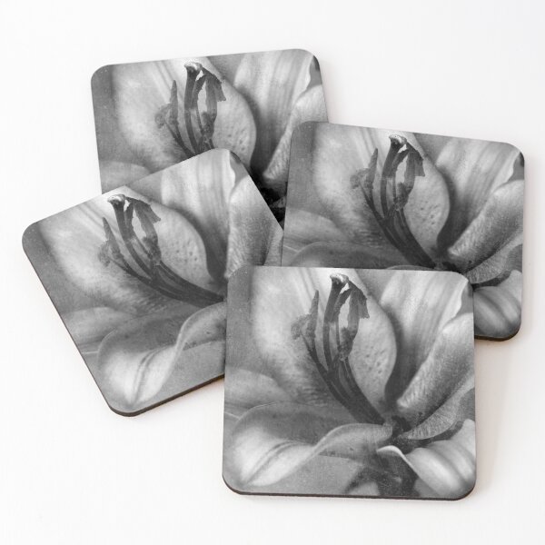 Item preview, lily designed and sold by hdconnellyphoto.
