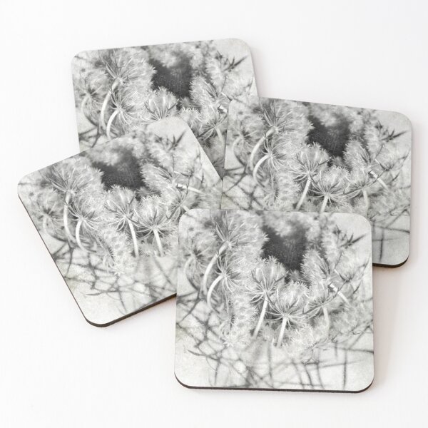 Item preview, thistle designed and sold by hdconnellyphoto.