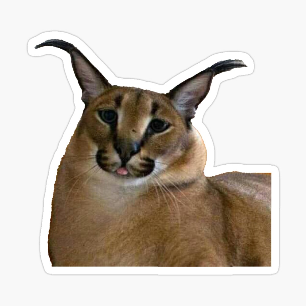 190 Big Floppa ideas in 2023  caracal cat, caracal, cat memes