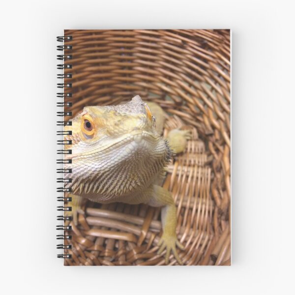 Artikelvorschau, Bärtiger Korb entworfen und verkauft von Photodragon1.