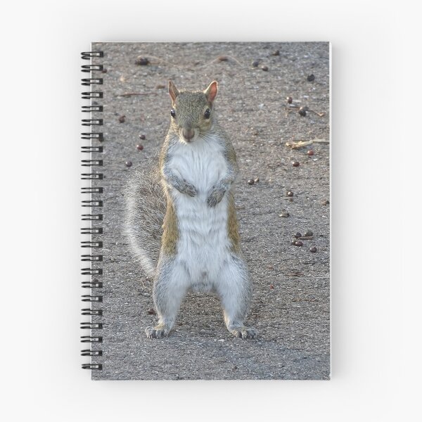 Item preview, Cute Squirrel #0078 designed and sold by Jeffrey Mask.