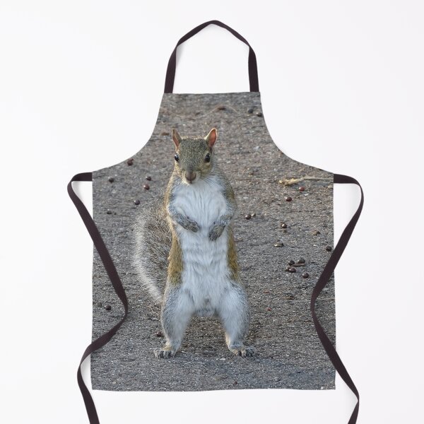 Item preview, Cute Squirrel #0078 designed and sold by Jeffrey Mask.
