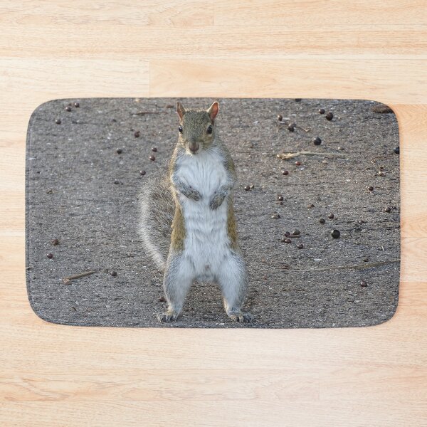 Item preview, Cute Squirrel #0078 designed and sold by Jeffrey Mask.