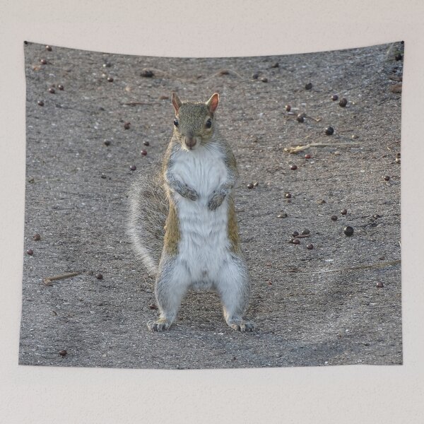 Item preview, Cute Squirrel #0078 designed and sold by Jeffrey Mask.