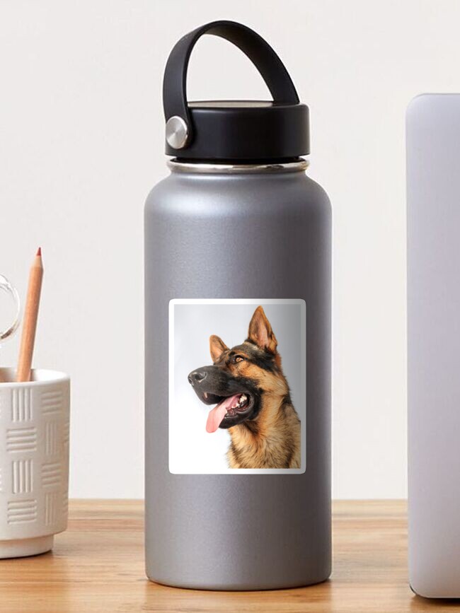 ANIMALS #10 - Magnificent German Shepherd Portrait ANIMALS #10 - Magnificent German Shepherd Portrait