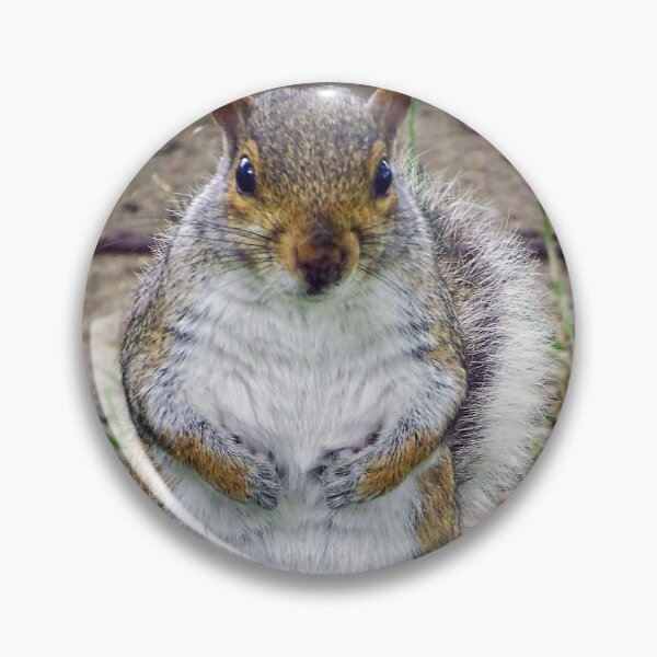 Item preview, Cute Squirrel #0077 designed and sold by Jeffrey Mask.