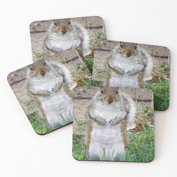 Item preview, Cute Squirrel #0077 designed and sold by Jeffrey Mask.