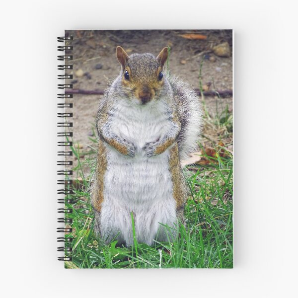 Item preview, Cute Squirrel #0077 designed and sold by Jeffrey Mask.