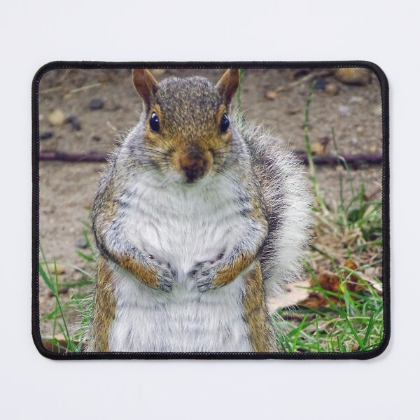 Item preview, Cute Squirrel #0077 designed and sold by Jeffrey Mask.