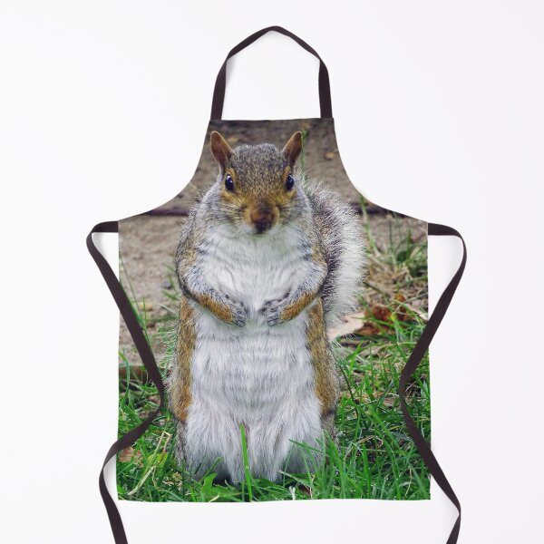 Item preview, Cute Squirrel #0077 designed and sold by Jeffrey Mask.