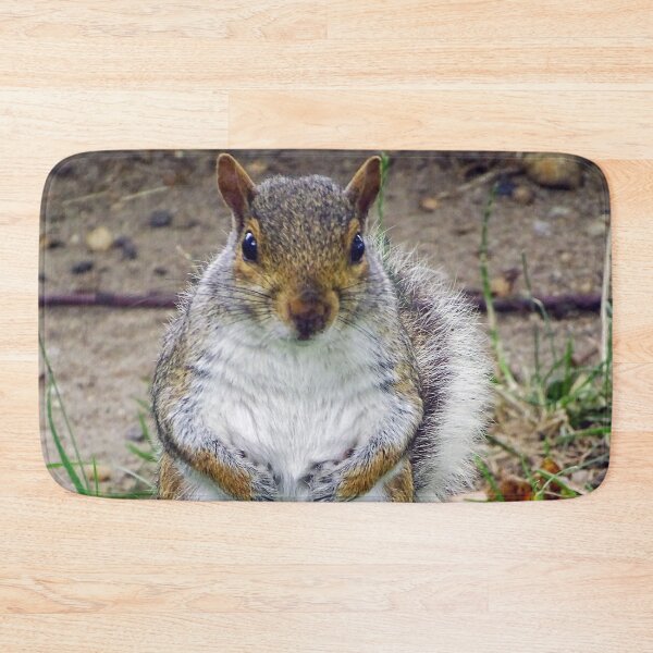 Item preview, Cute Squirrel #0077 designed and sold by Jeffrey Mask.
