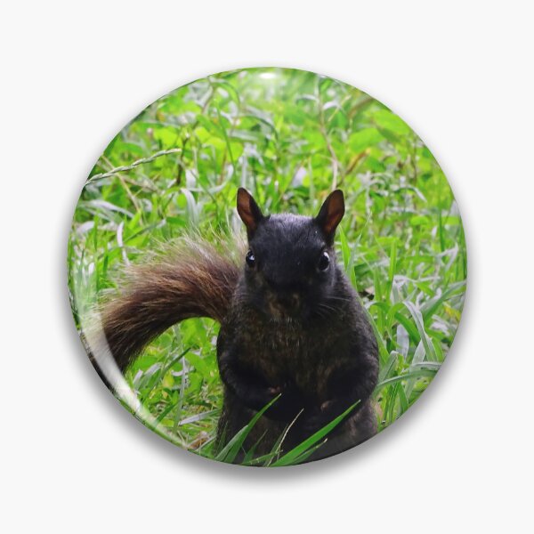 Item preview, Cute Squirrel #0079 designed and sold by Jeffrey Mask.