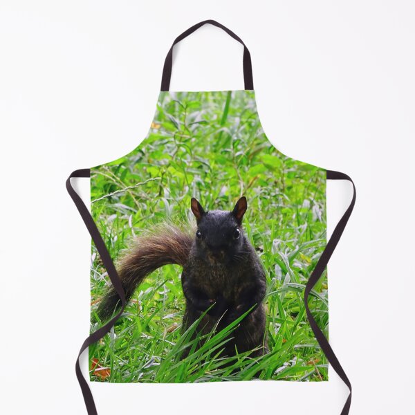 Item preview, Cute Squirrel #0079 designed and sold by Jeffrey Mask.