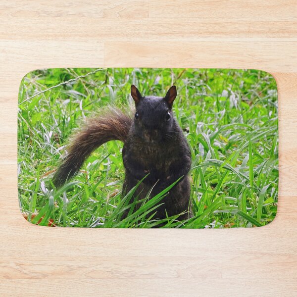 Item preview, Cute Squirrel #0079 designed and sold by Jeffrey Mask.