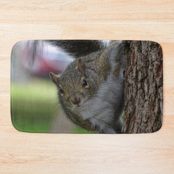 Item preview, Cute Squirrel #0079 designed and sold by Jeffrey Mask.