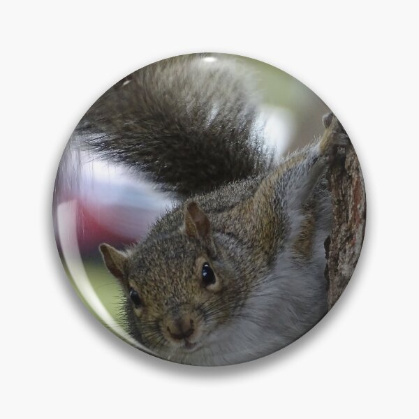 Item preview, Cute Squirrel #0079 designed and sold by Jeffrey Mask.