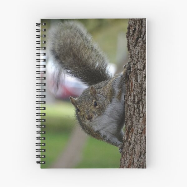 Item preview, Cute Squirrel #0079 designed and sold by Jeffrey Mask.