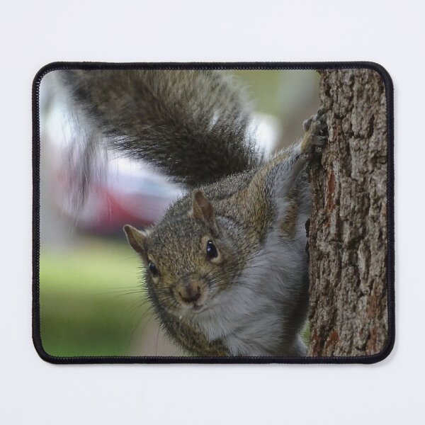 Item preview, Cute Squirrel #0079 designed and sold by Jeffrey Mask.