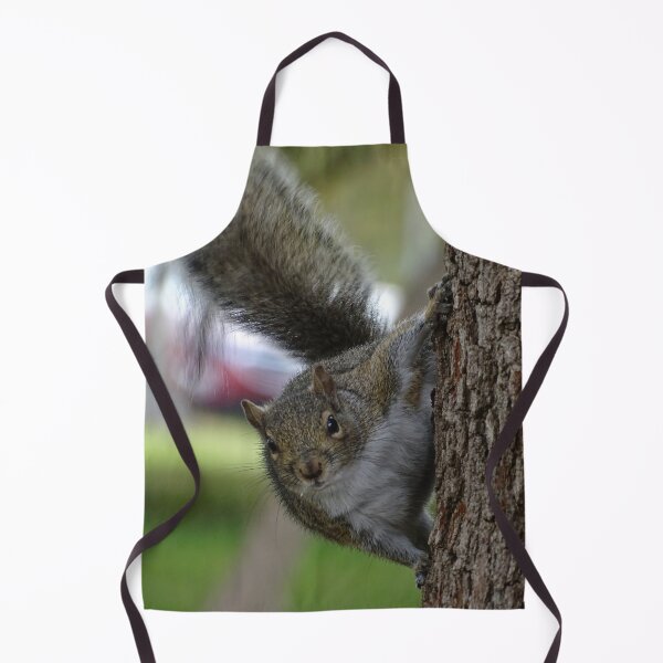 Item preview, Cute Squirrel #0079 designed and sold by Jeffrey Mask.