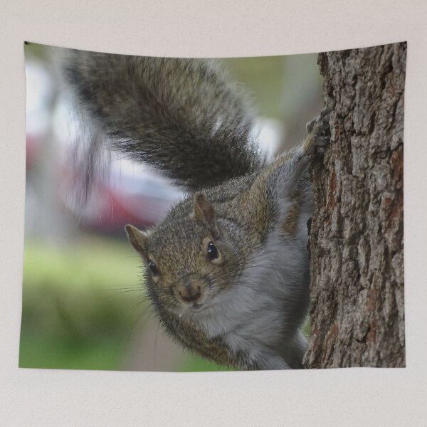 Item preview, Cute Squirrel #0079 designed and sold by Jeffrey Mask.