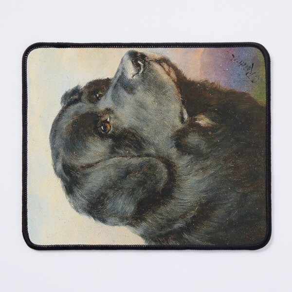 Item preview, Newfoundland Dog by Carl Reichert designed and sold by Amanda1775.