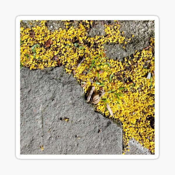 Item preview, Tiny Yellow Spring Flowers Underfoot designed and sold by Jeanne Kramer-Smyth.