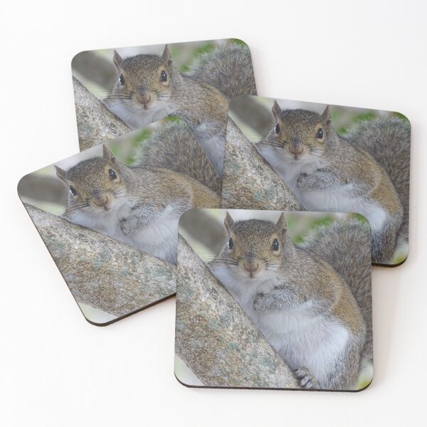 Item preview, Cute Squirrel #0080 designed and sold by Jeffrey Mask.