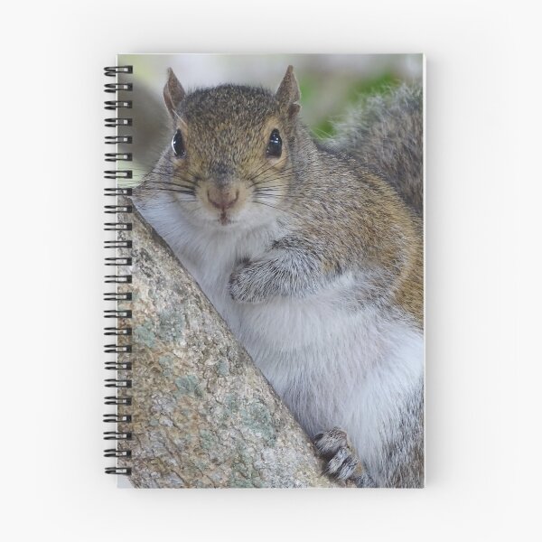 Item preview, Cute Squirrel #0080 designed and sold by Jeffrey Mask.