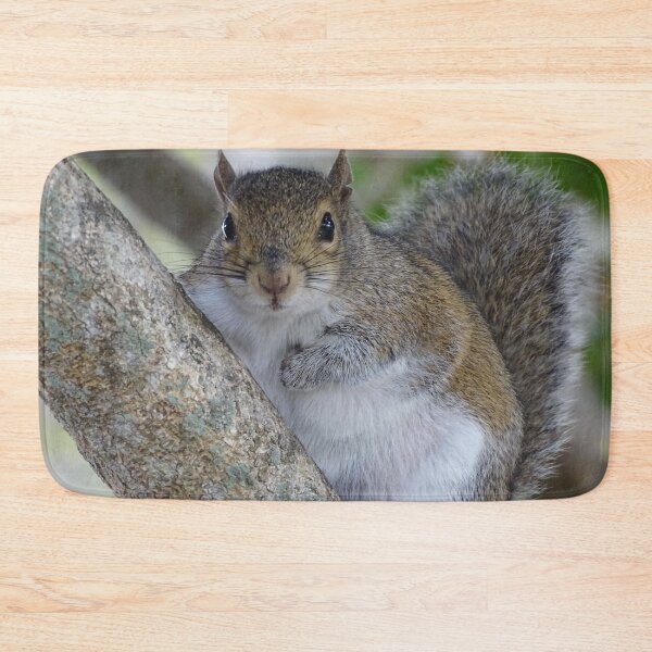 Item preview, Cute Squirrel #0080 designed and sold by Jeffrey Mask.