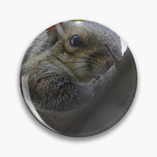 Item preview, Cute Squirrle #0081 designed and sold by Jeffrey Mask.