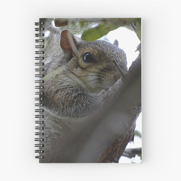 Item preview, Cute Squirrle #0081 designed and sold by Jeffrey Mask.